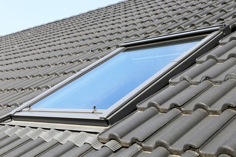 Summer Skylight Repair